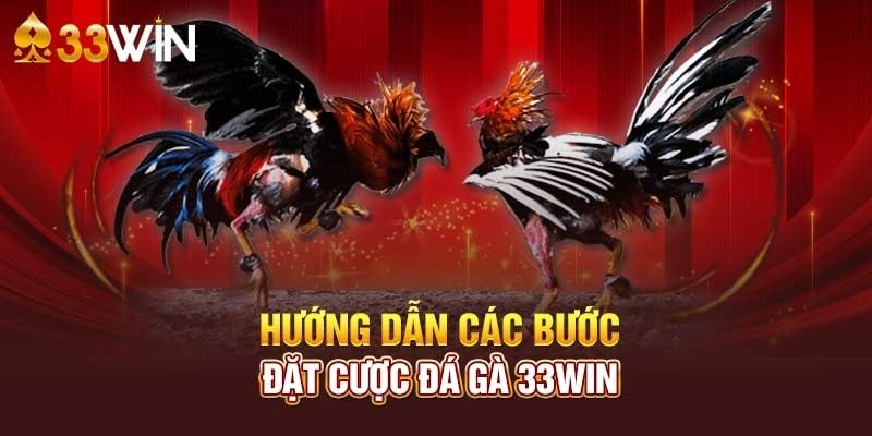 Hướng dẫn các bước đặt cược đá gà 3333Win