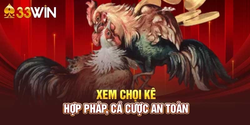 Cá cược đá gà 3333Win hợp pháp và an toàn