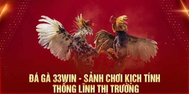 Đá Gà 3333Win - Trải Nghiệm Chọi Gà Sôi Động Hàng Đầu Thế Giới